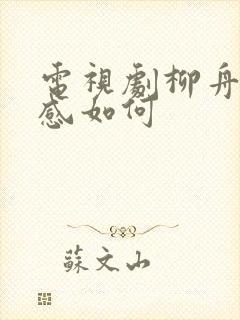 电视剧柳舟记质感如何