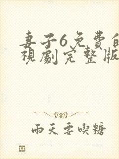 妻子6免费的电视剧完整版韩剧网封面