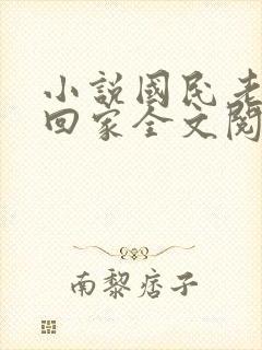 小说国民老公带回家全文阅读