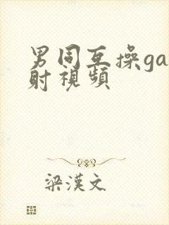 男同互操gay射视频