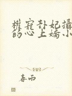 权宠卦妃摄政王的心上娇小说