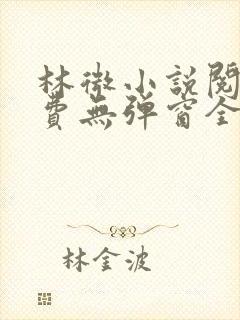 林微小说阅读免费无弹窗全文