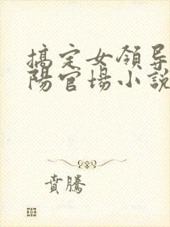 搞定女领导的叶阳官场小说