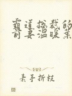 霸道总裁的替身前妻温暖叶非墨