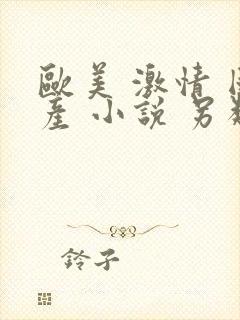 欧美 激情 国产 小说 另类