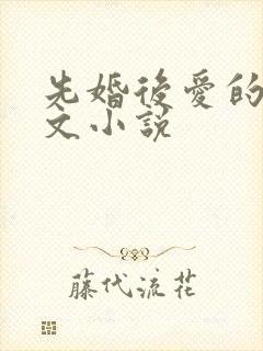 先婚后爱的甜宠文小说封面