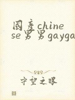 国产chinese男男gaygay网站软件