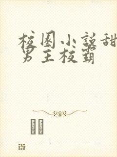 校园小说甜宠文男主校霸封面