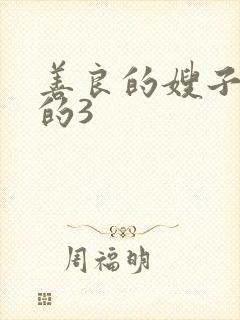 善良的嫂子的的的3封面