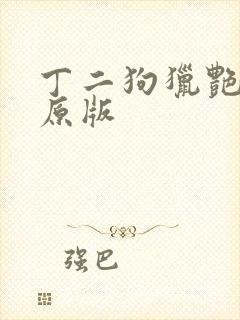 丁二狗猎艳人生原版