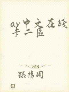av中文在线不卡二区