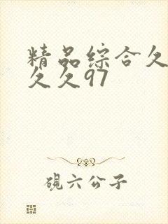 精品综合久久久久久97