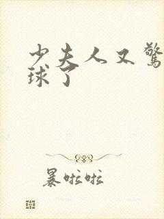 少夫人又惊艳全球了封面