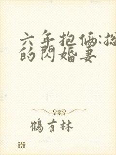 六年抱俩:总裁的闪婚妻封面