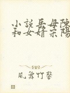 小说岳母陈丽珍和女婿宋阳免费阅读全文