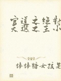 官道之绝对权力天选之主小说完本