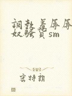 调教羞辱辱骂贱奴骚货sm