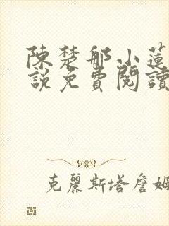 陈楚那小莲的小说免费阅读