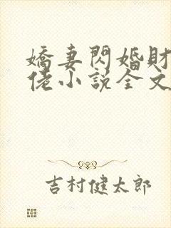 娇妻闪婚财阀大佬小说全文阅读封面