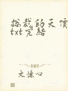 总裁的天价前妻txt完结封面