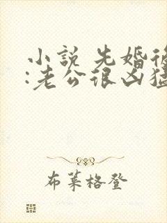 小说 先婚后爱:老公很凶猛