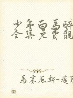 少年白马醉春风全集免费观看17集