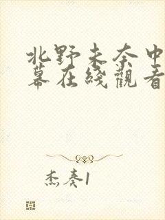 北野未奈中文字幕在线观看
