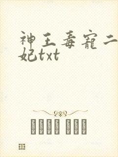 神王毒宠二嫁王妃txt