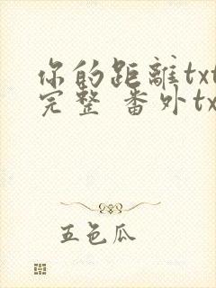 你的距离txt完整 番外txt