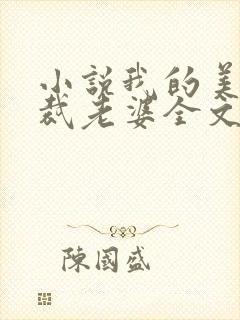 小说我的美女总裁老婆全文