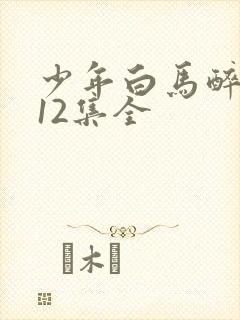 少年白马醉春风12集全