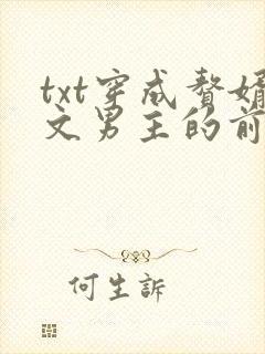 txt穿成赘婿文男主的前妻