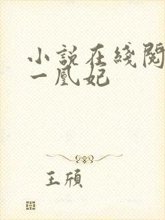 小说在线阅读第一凰妃