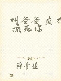 叫爸爸 爽不爽 操死你