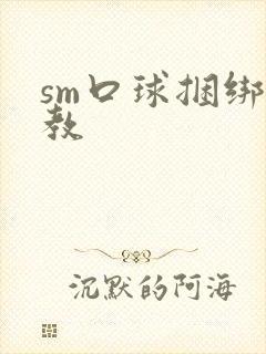 sm口球捆绑调教