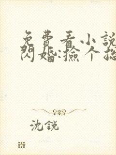 免费看小说一日闪婚:捡个总裁来恋爱