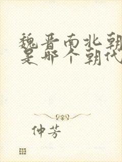 魏晋南北朝的魏是哪个朝代封面