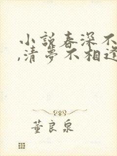 小说春深不归客,清梦不相逢免费阅读