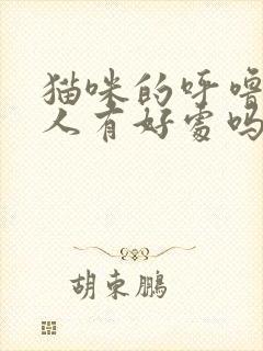 猫咪的呼噜声对人有好处吗