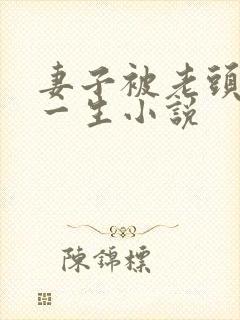 妻子被老头毁了一生小说封面