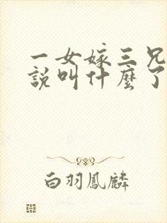 一女嫁三兄弟小说叫什么了