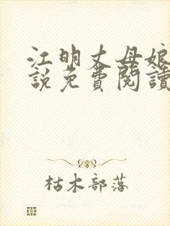 江明丈母娘的小说免费阅读无弹窗封面