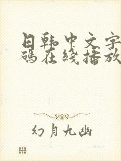 日韩中文字幕有码在线播放