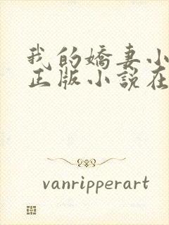 我的娇妻小欣儿正版小说在线阅读