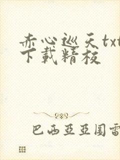 赤心巡天txt下载精校