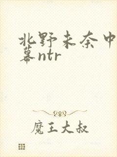 北野未奈中文字幕ntr