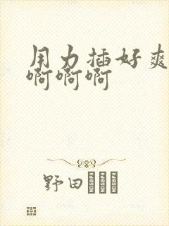 用力插好爽啊啊啊啊啊