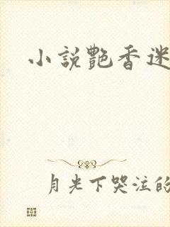 小说艳香迷醉封面