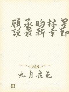 顾承昀林星禾小说最新章节免费阅读