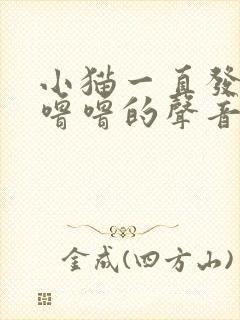 小猫一直发出咕噜噜的声音封面